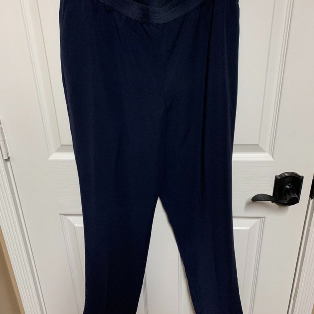 Ann Taylor Pant-Navy